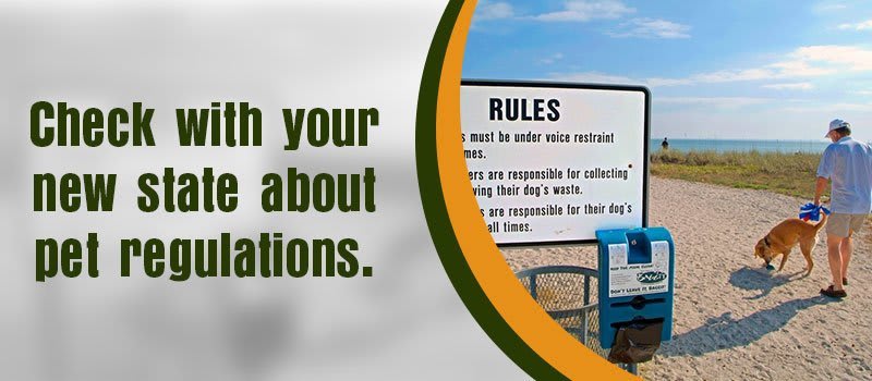 Tip graphic advising movers to check their new state's pet regulations, with a person walking a dog on a beach.