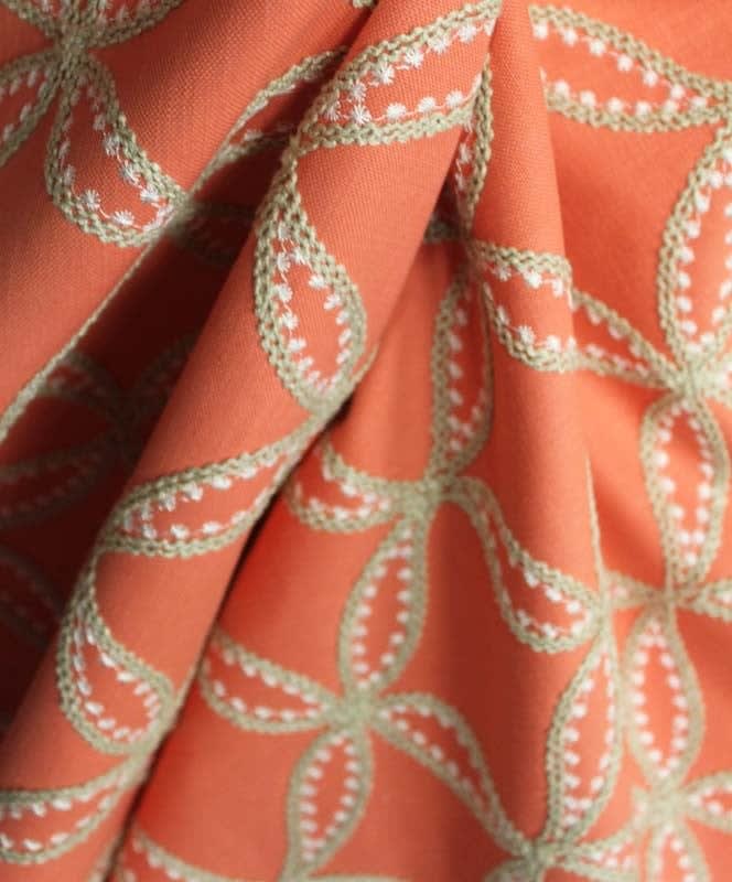 Tanj-turmeric-TrendAlert