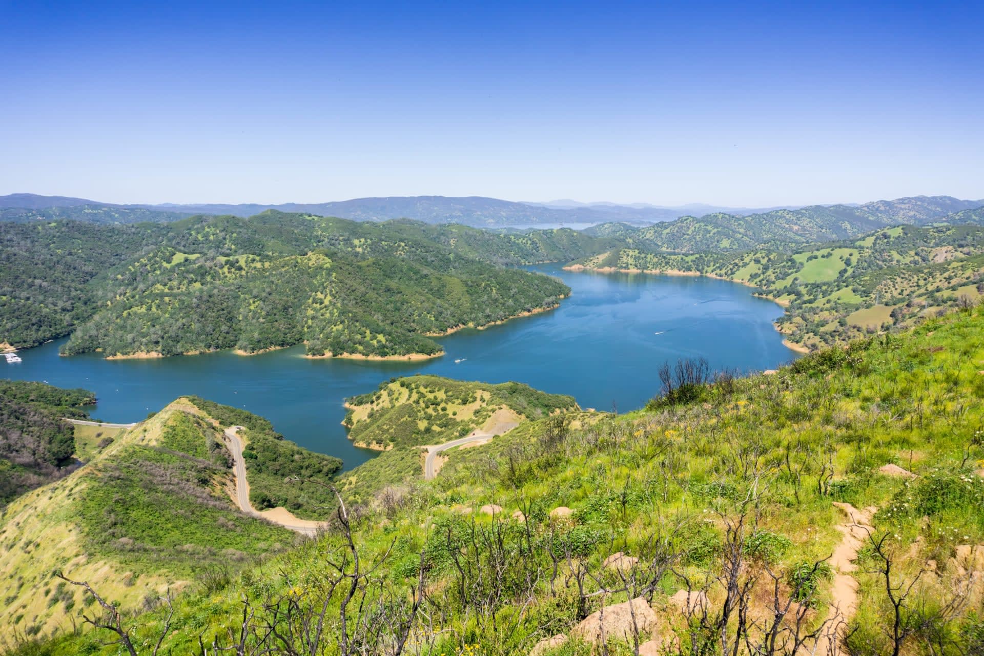 Berryessa, CA Real Estate & Homes for Sale DeTar Team
