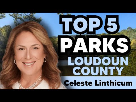 Top 5 Parks to Visit in Loudoun County!