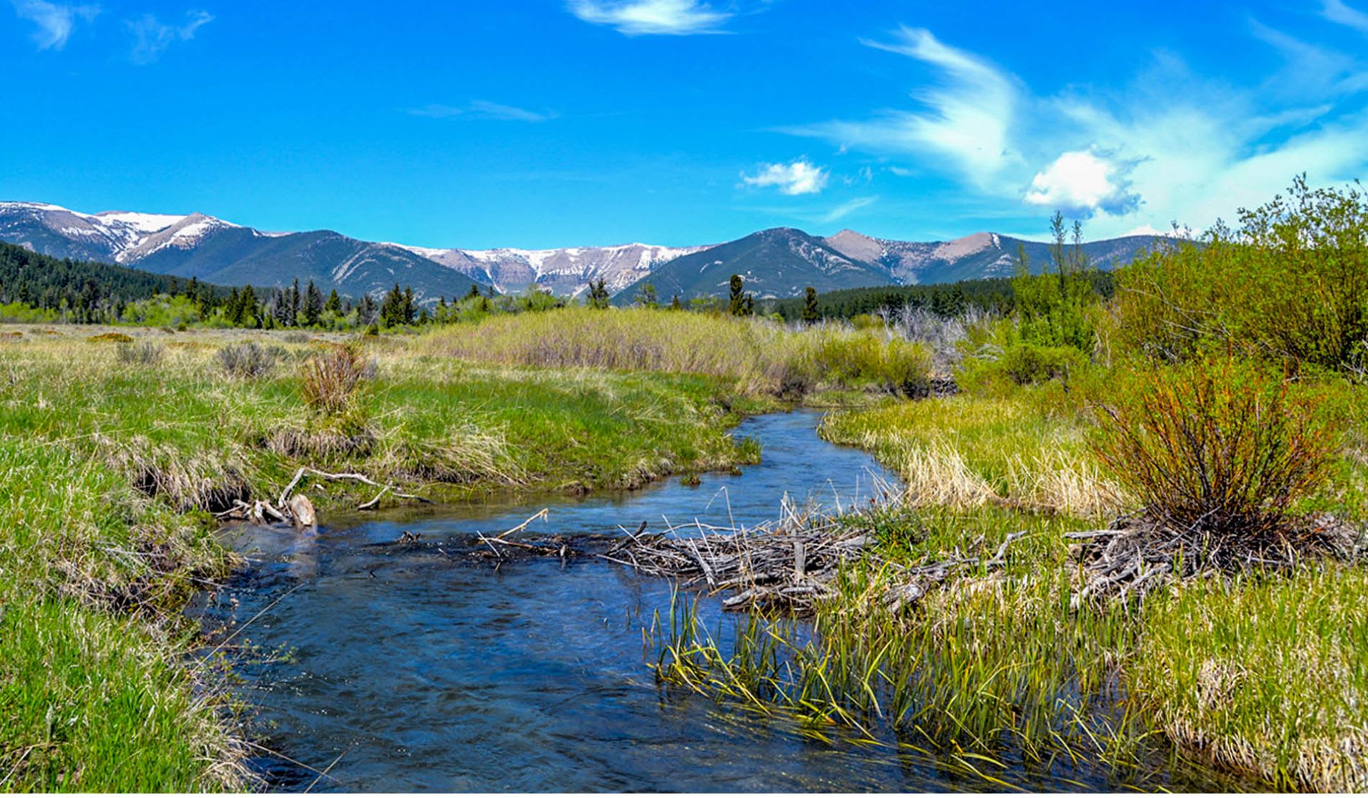 Montana Real Estate Listings Montana Homes & Grasslands