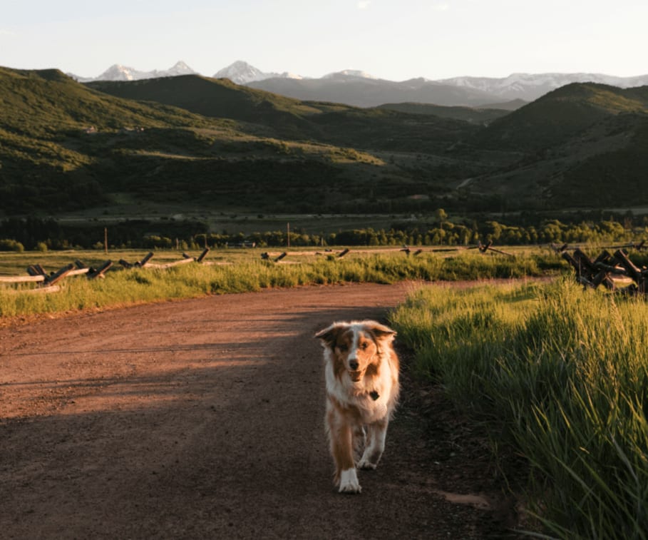 Aspen Market Report May 2022 Hudson Smythe Blog