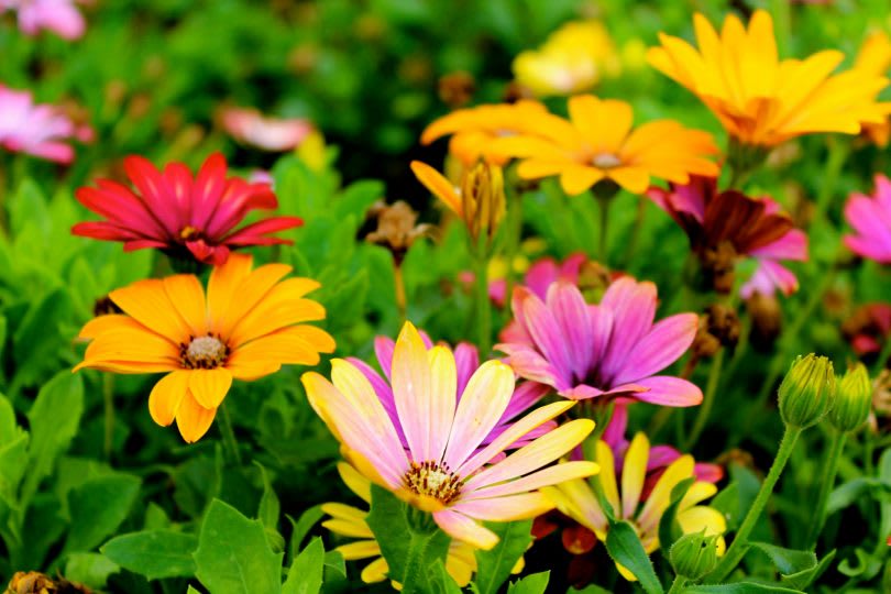Spring Home Maintenance Tips