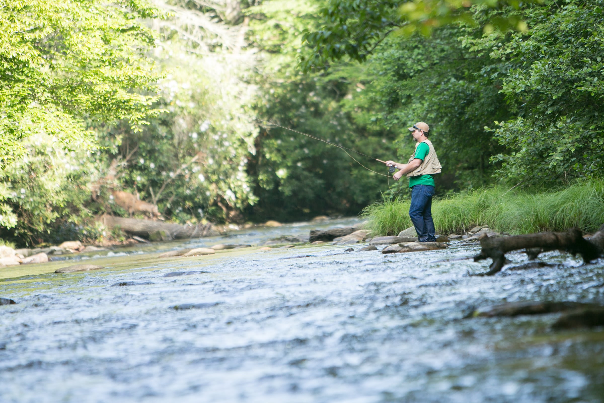 Perfect Day in Asheville