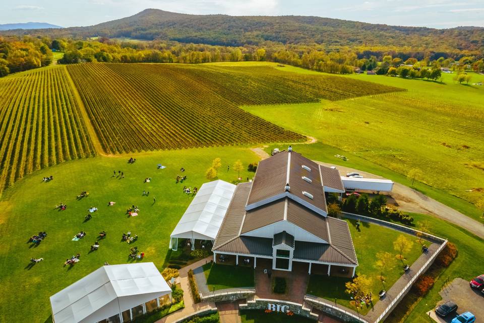 5 Wineries to Check Out in Frederick County Erica Jarboe TGP Homes