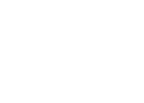 Brodie Capitol Real Estate Group