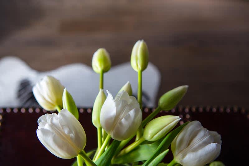 The Spring Market Has Sprung