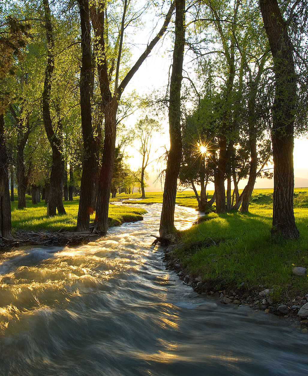 Speakman Realty Group Star Valley WY Real Estate