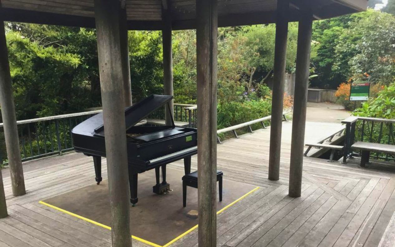 Black grand piano in gazebo at San Francisco Botanical Garden.