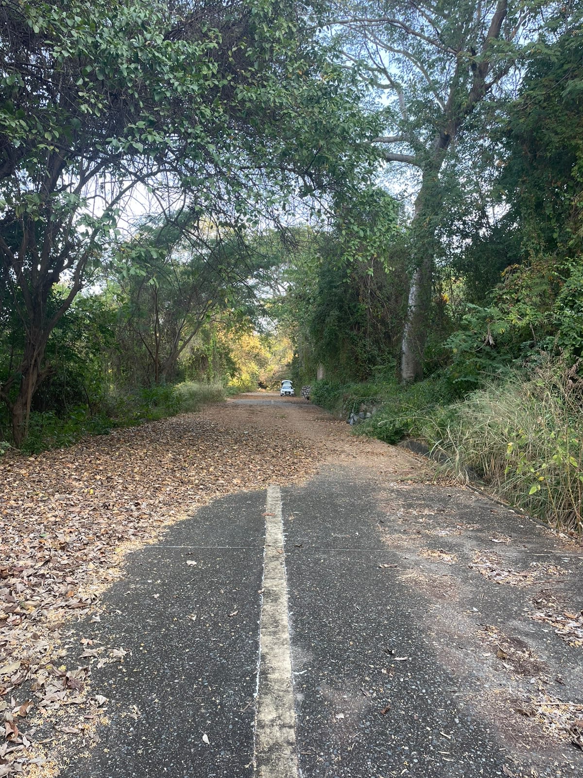 Punta Majahua Nicole 2 Live Real Estate Guerrero Real Estate Experts