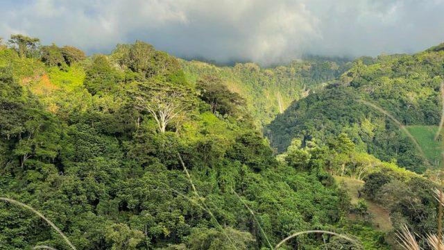 Riverfront Ranch Above Uvita With Waterfalls, and Ocean Views