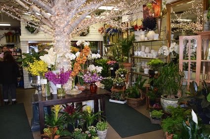 Flower Shop of Tryforos and Pernice