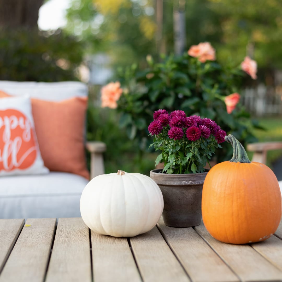 The Autumn Advantage: Why Fall is the Perfect Season to Sell Your Home