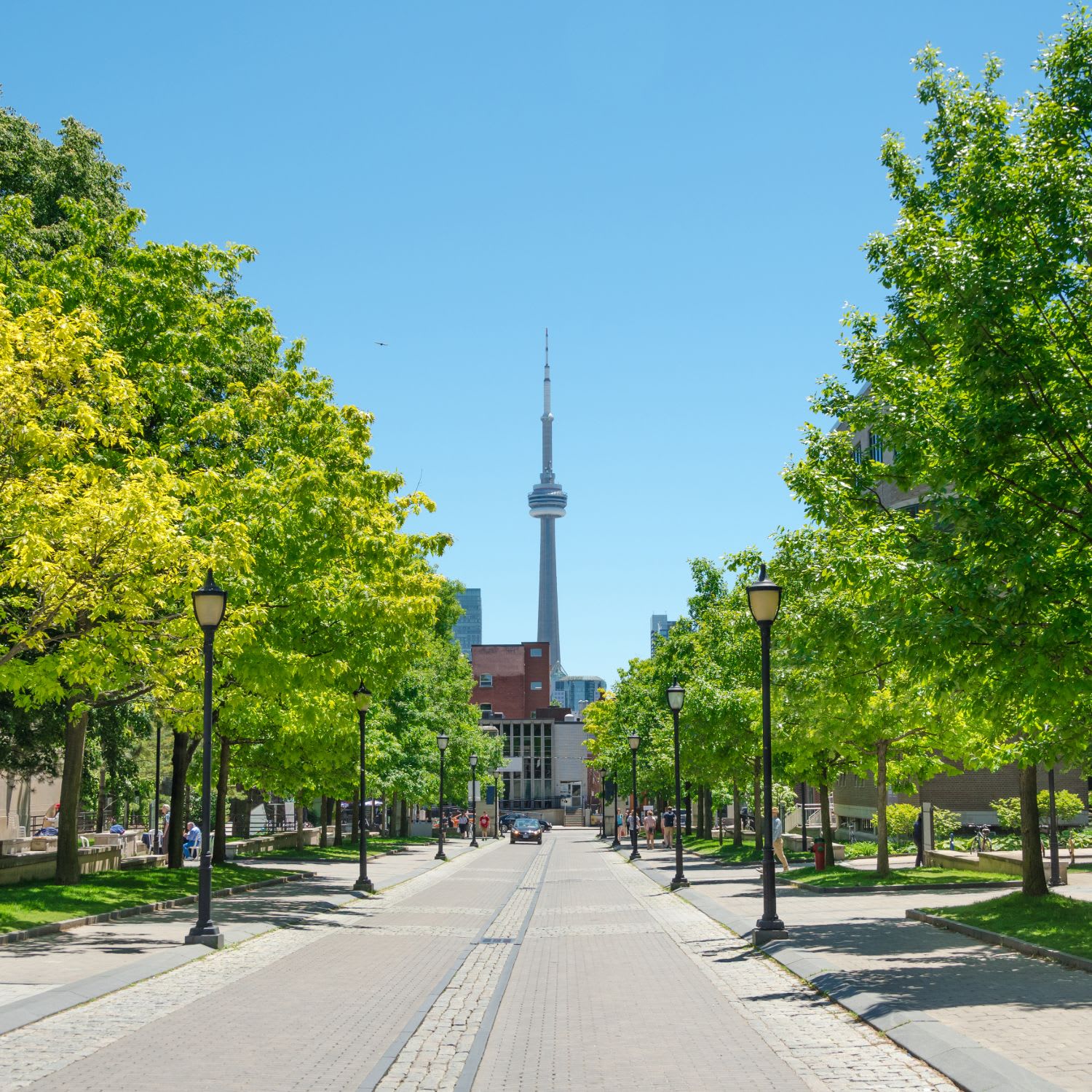 MyTu Doan Toronto Real Estate Broker