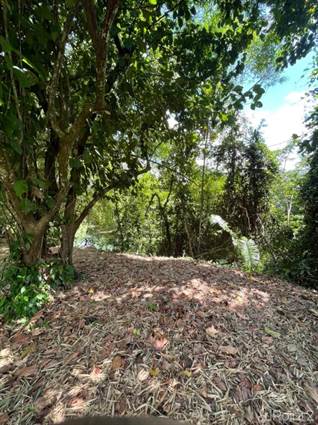 Over 8400 Feet of Stunning River Frontage on the Historic Landmark Sibun River