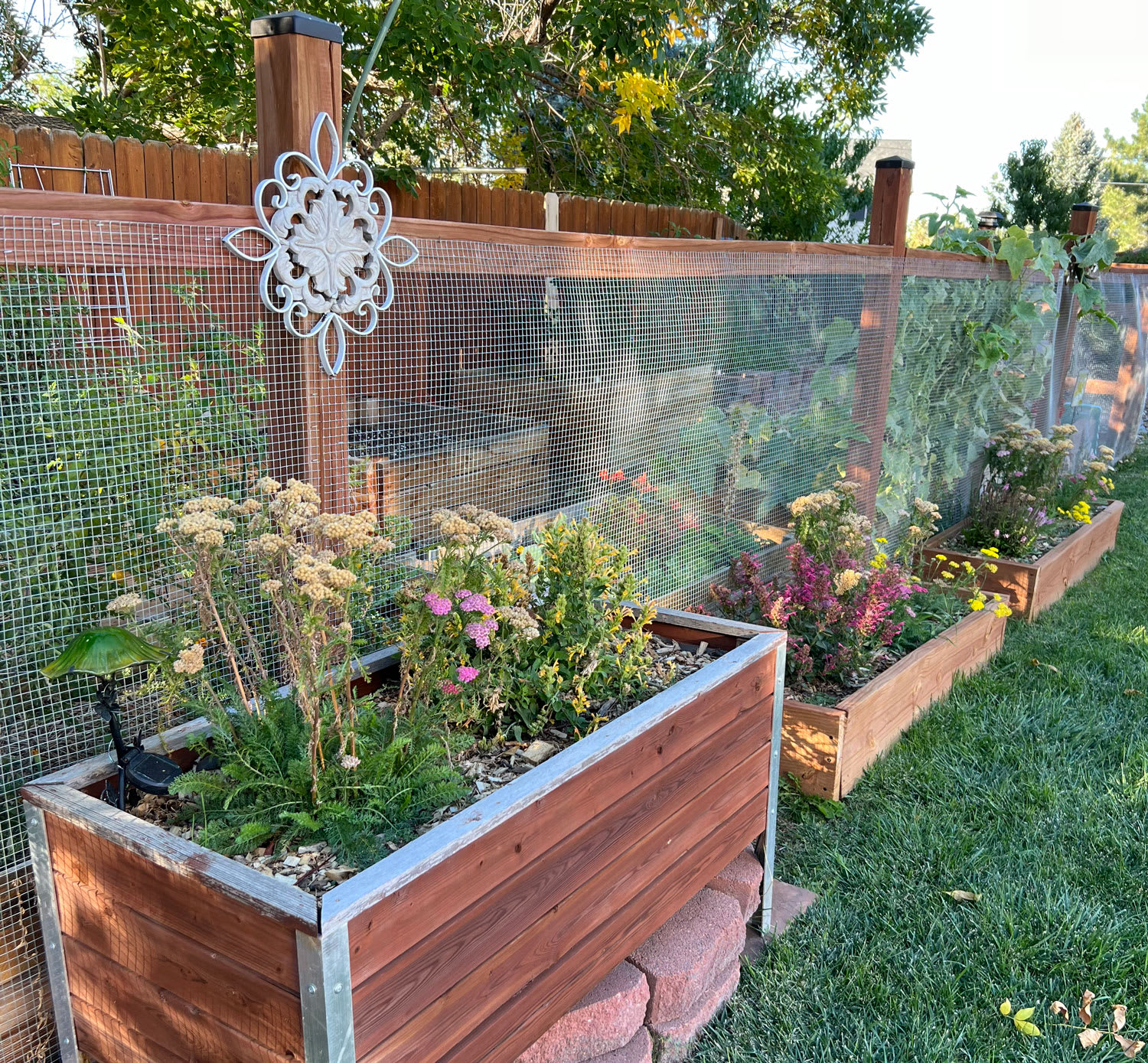 Garden Tips for Fall and Winter in Colorado