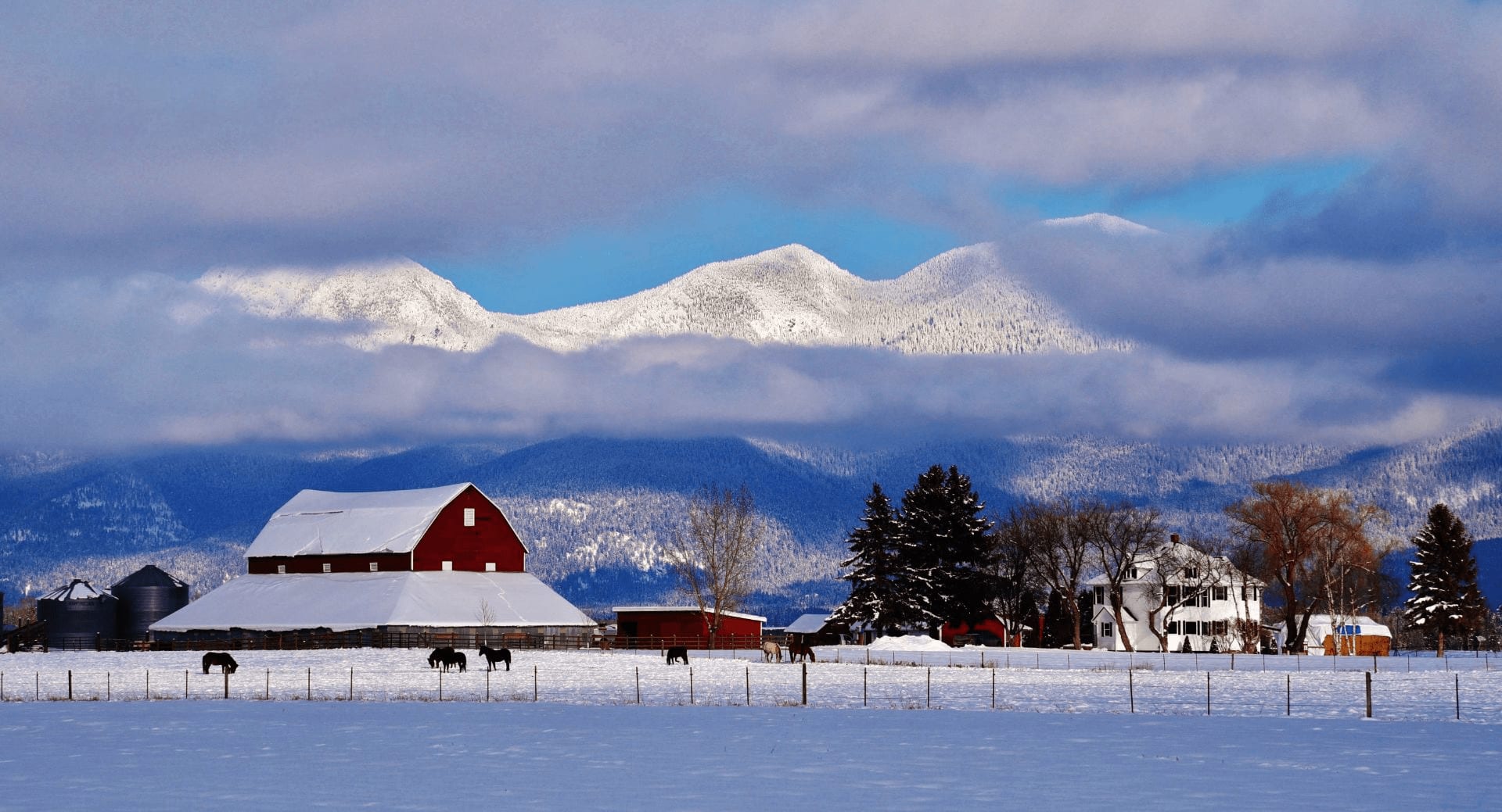 Sandy O'Connell | Real Estate Agent Serving Montana