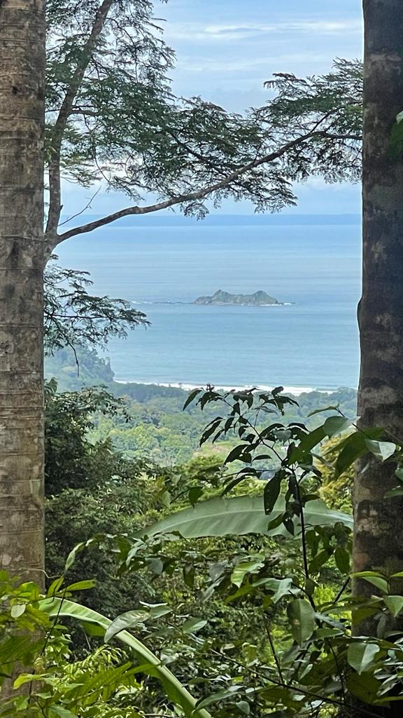 17 Acres of Paradise in Uvita, Jungle and Ocean View. 3 Plus Building Sites 