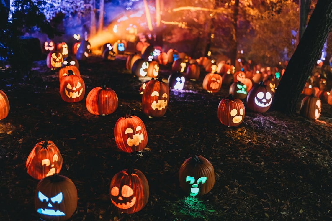 THINGS TO DO IN MILWAUKEE FOR HALLOWEEN 2024 Luxury Specialists