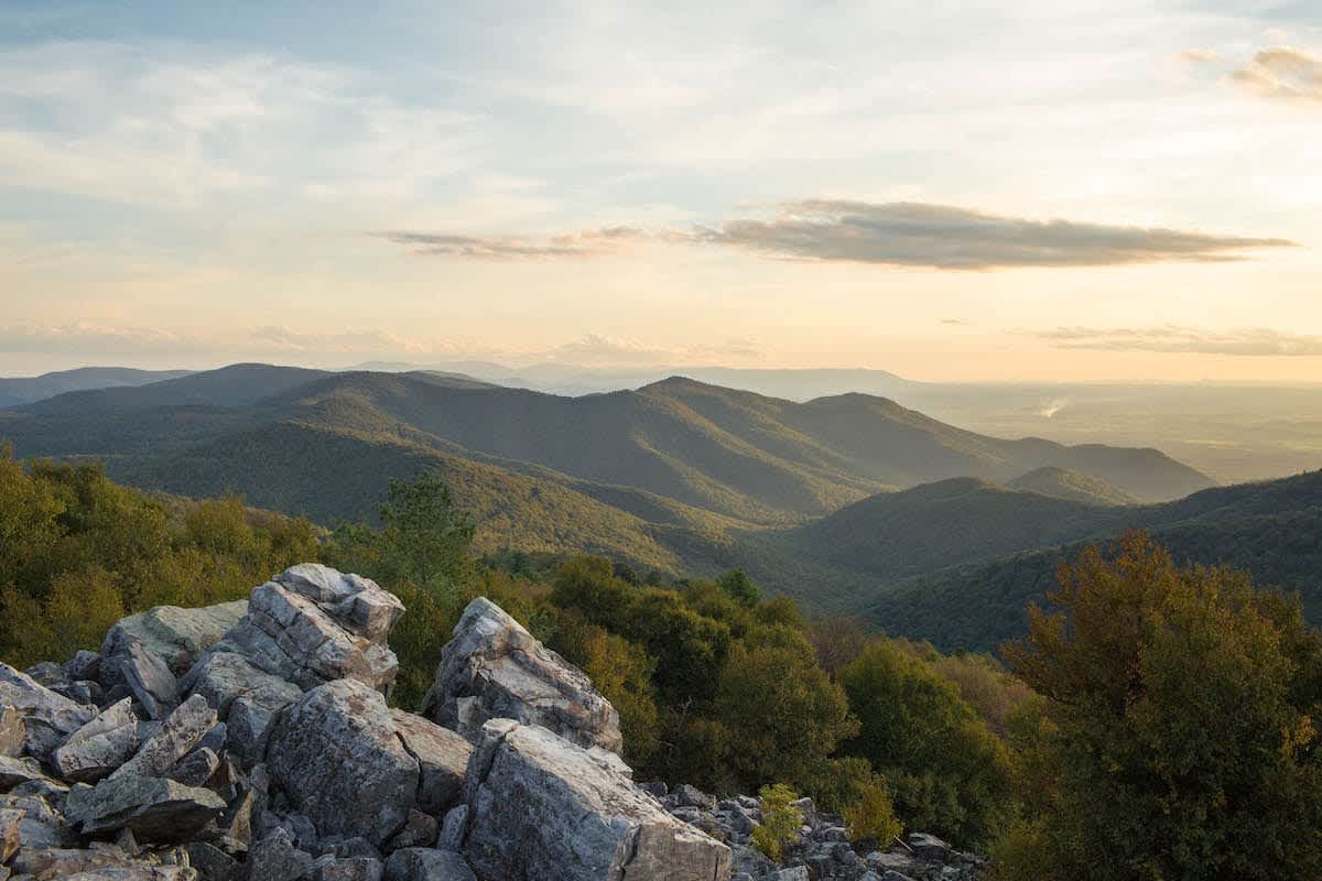 Local Love Fall/Winter 2019 - Part 3