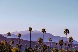 Palm Springs, California, is a unique and vibrant community located in the heart of the Coachella Valley. 