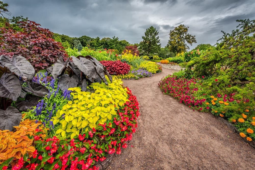 Explore the Minnesota Landscape Arboretum