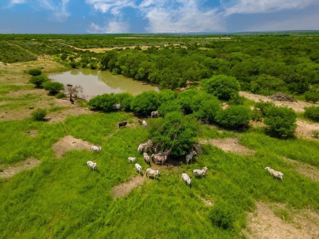 El Rialito Creek Ranch | 338 +/- ACRES | Uvalde, TX 