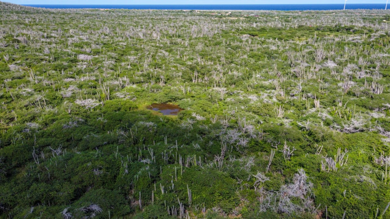 Property land Bonaire