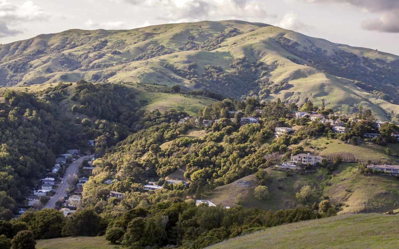 Novato - Marin's Finest