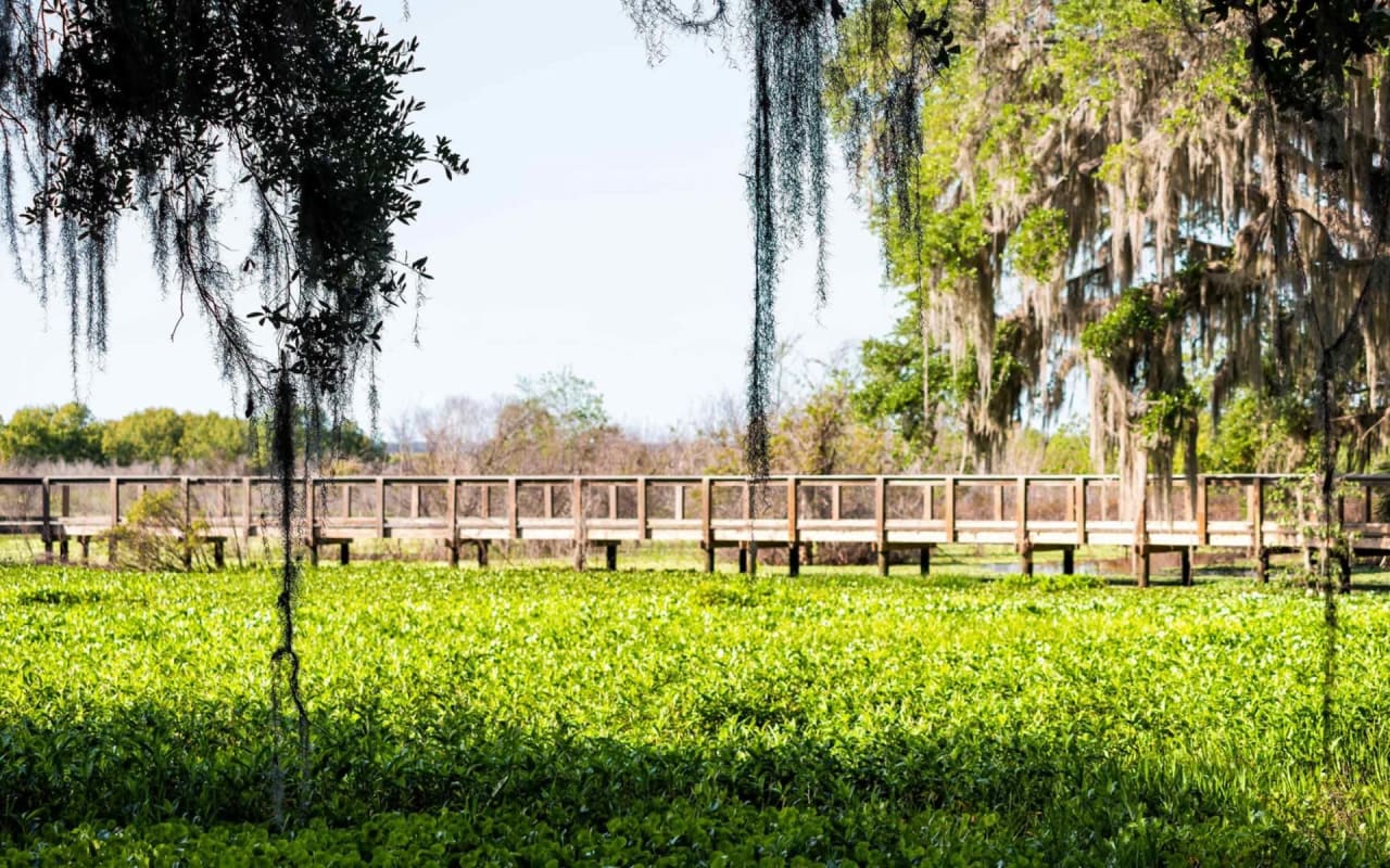 Gainesville Real Estate Buy or Sell