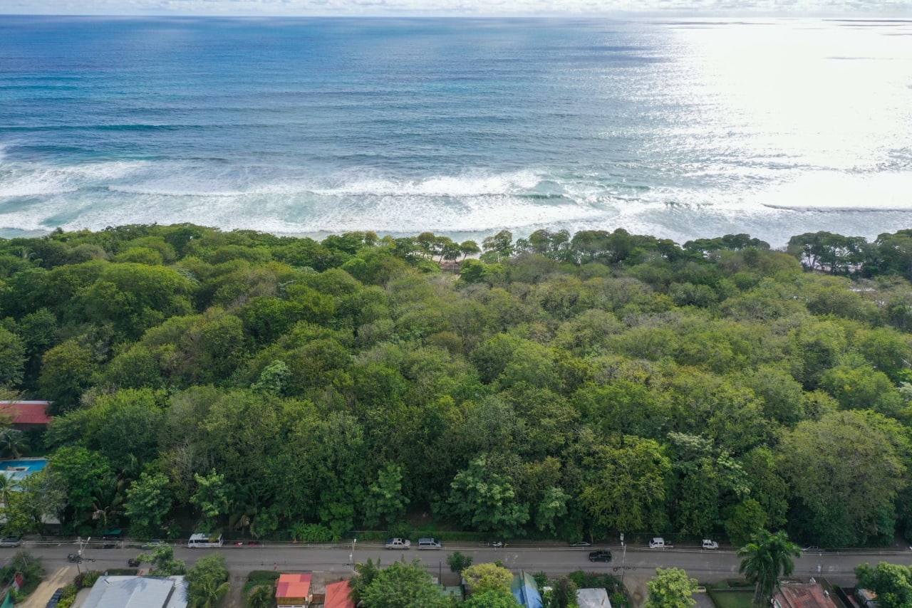 Oceanfront Lot in Santa Teresa