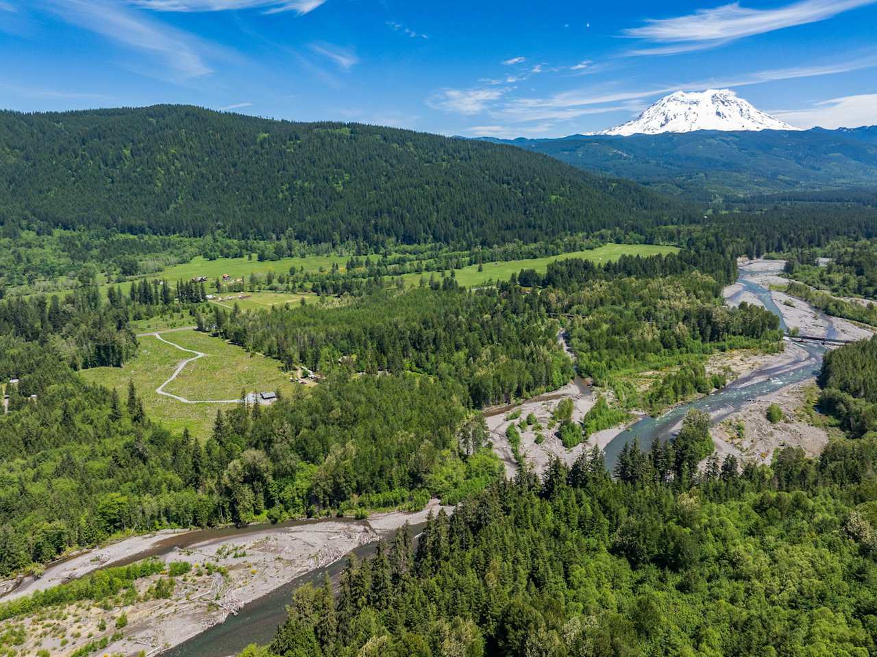 Mt. Rainier Paradise