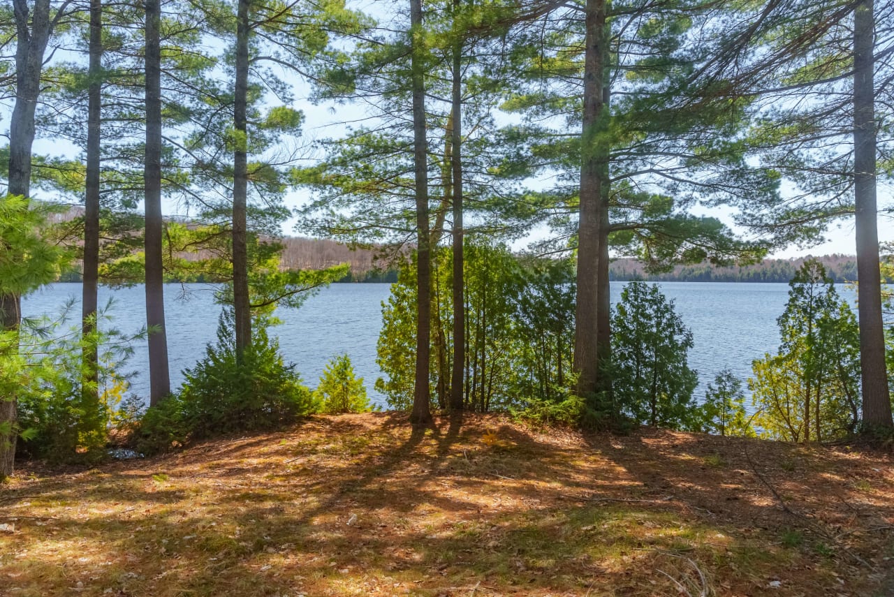 Fern Glen Road Round Lake 