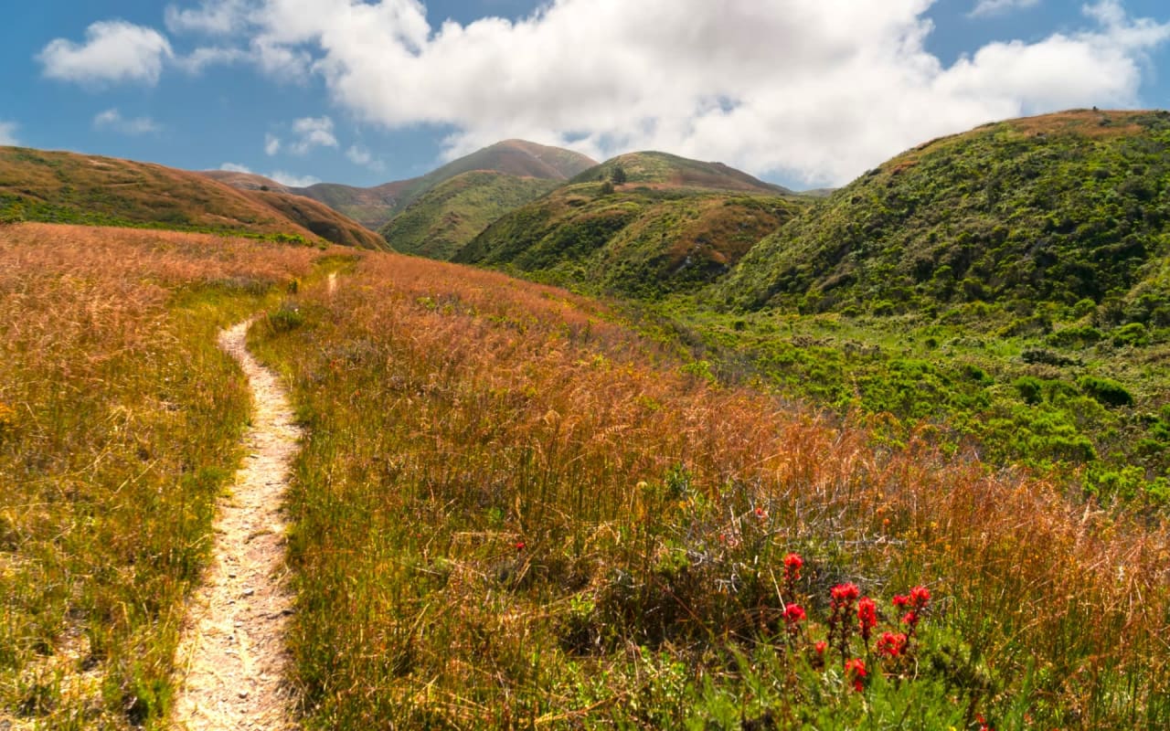 Hiking in North San Luis Obispo County