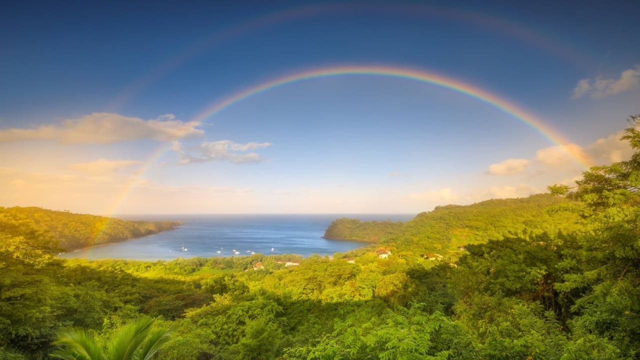 This Luxurious Resort Community is Working to Preserve Costa Rica’s Most Vulnerable Forests