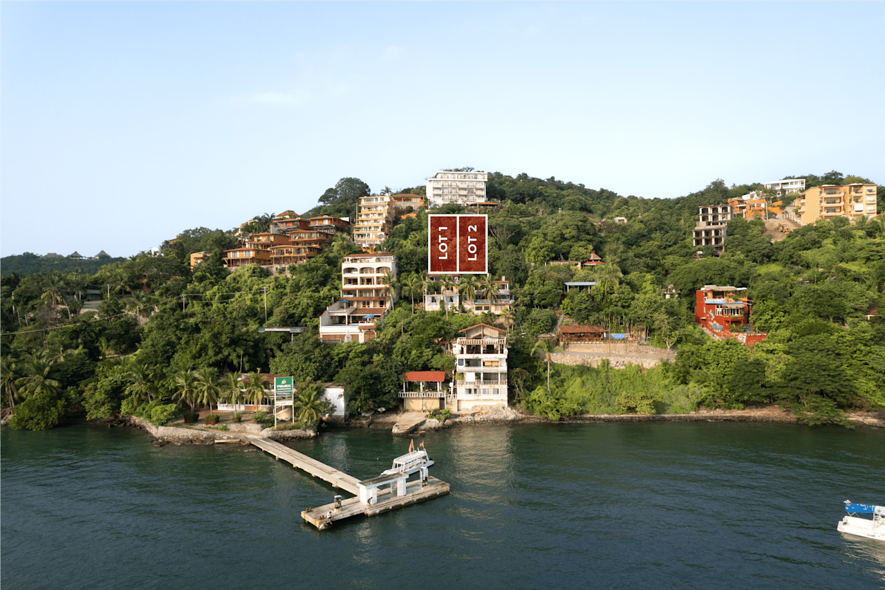 Armadillo Tatú 101 Live Real Estate Guerrero Real Estate Experts