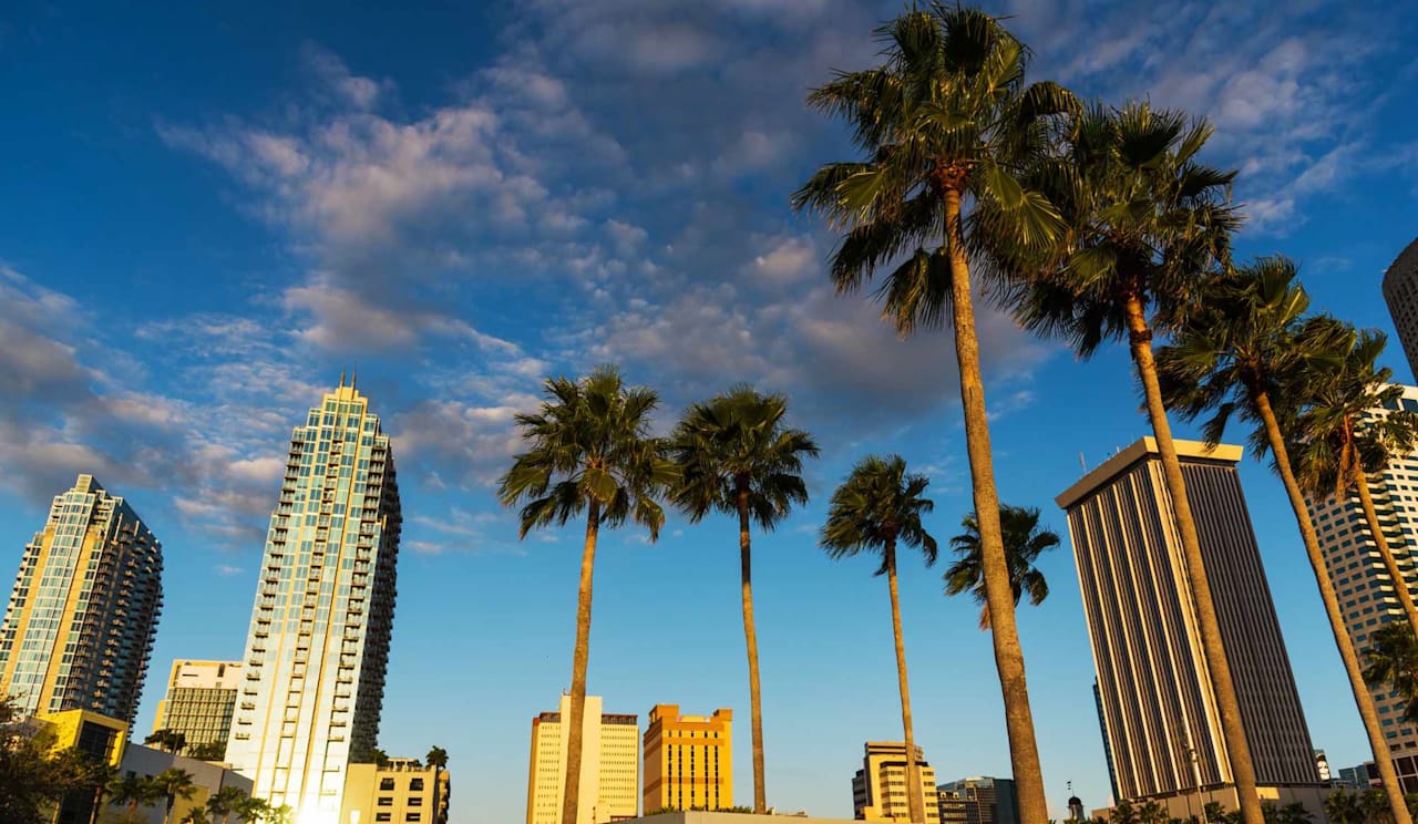 Downtown Tampa Condos For Sale Best Tampa Realtors Adam Fernandez Group