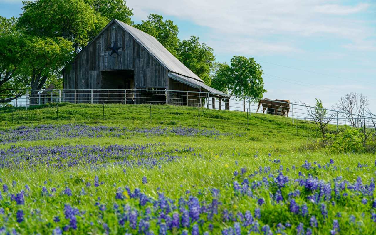 Meet the Team Texas Real Estate Sage Residential Group