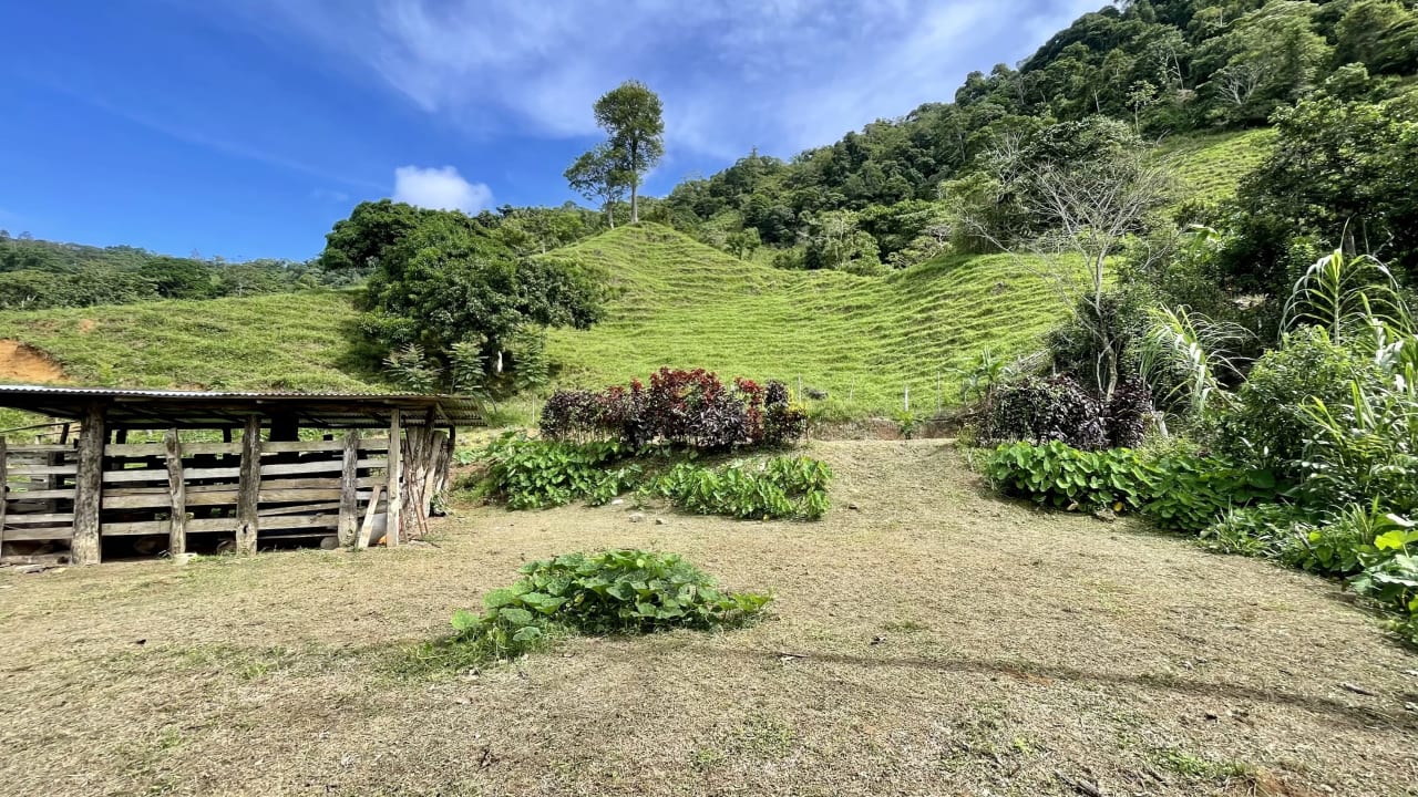 Stunning Ocean View Farm in San Luis de Morete, Over 23 Acres