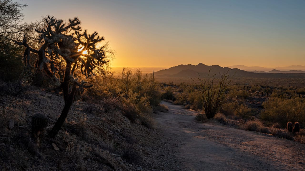 SAN TAN VALLEY