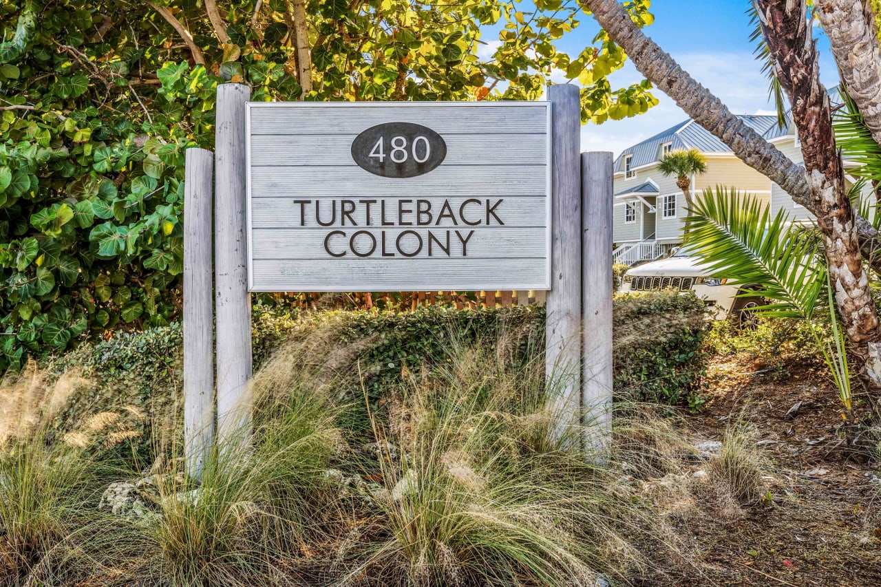 Turtleback