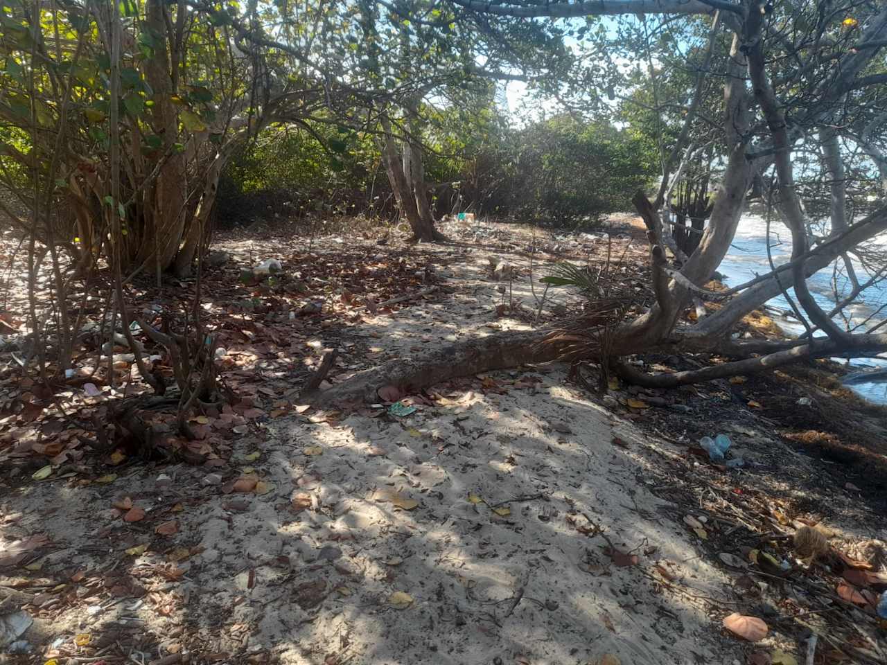 Charming 1.6 acre Caribbean Beachfront peninsular in Dangriga Town, Belize