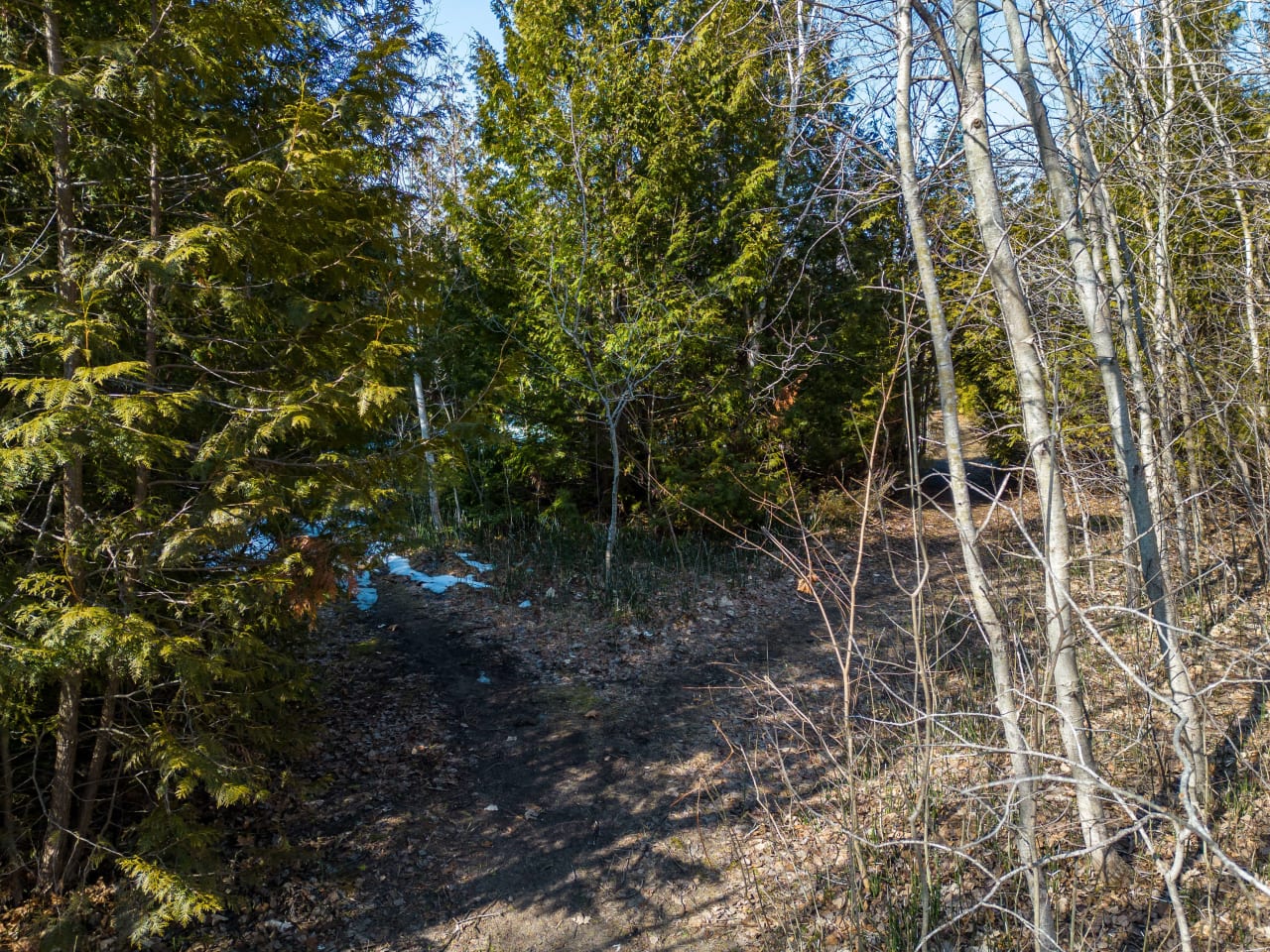  Premier Georgian Bay Waterfront Property 