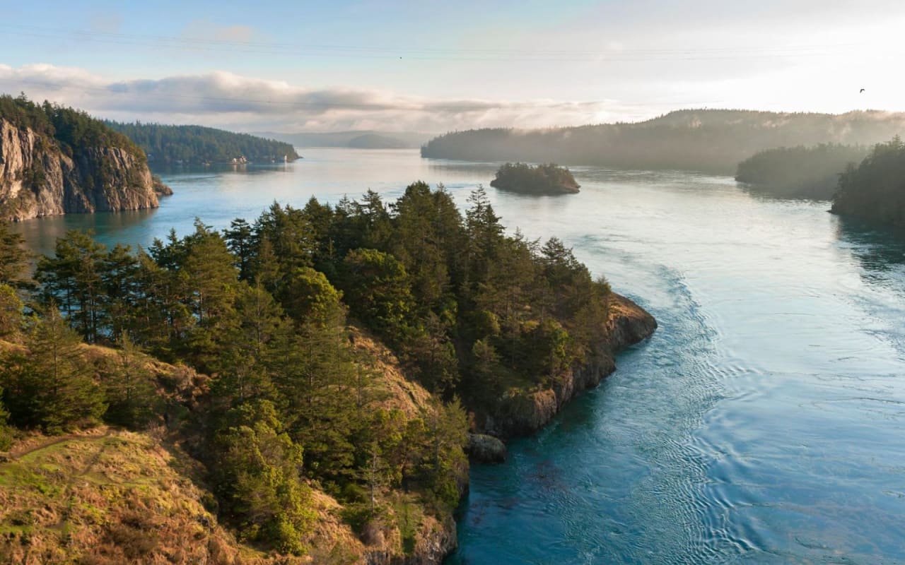  A large body of water surrounded by trees, with a small island in the middle.