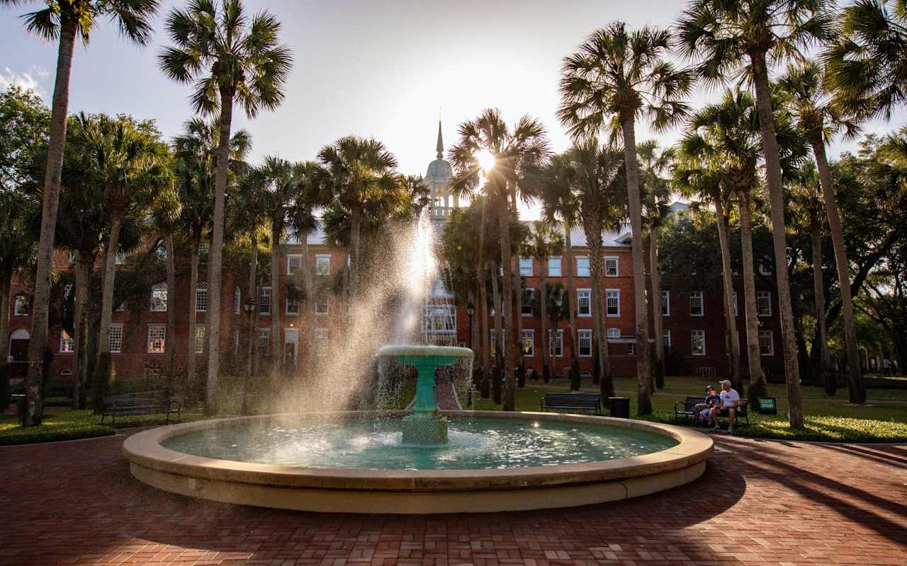 Local Living Realty Group New Smyrna Beach Real Estate Agents