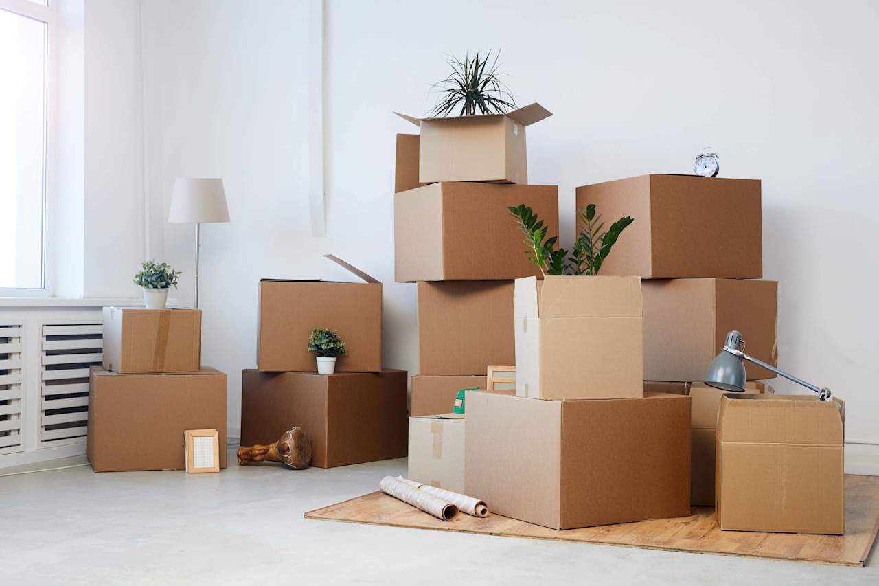 PROFESSIONAL MOVERS