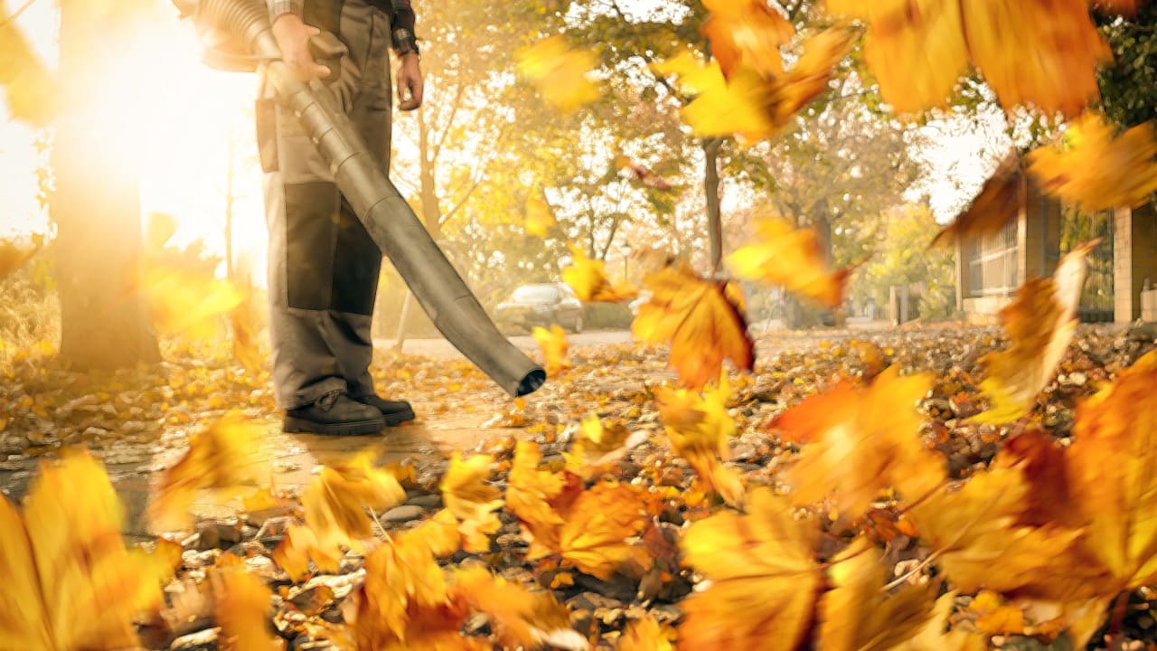 Don't Skip These 5 Fall Maintenance Tasks