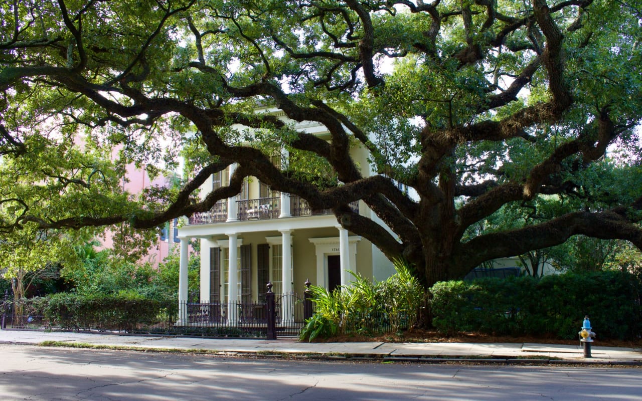 Garden District