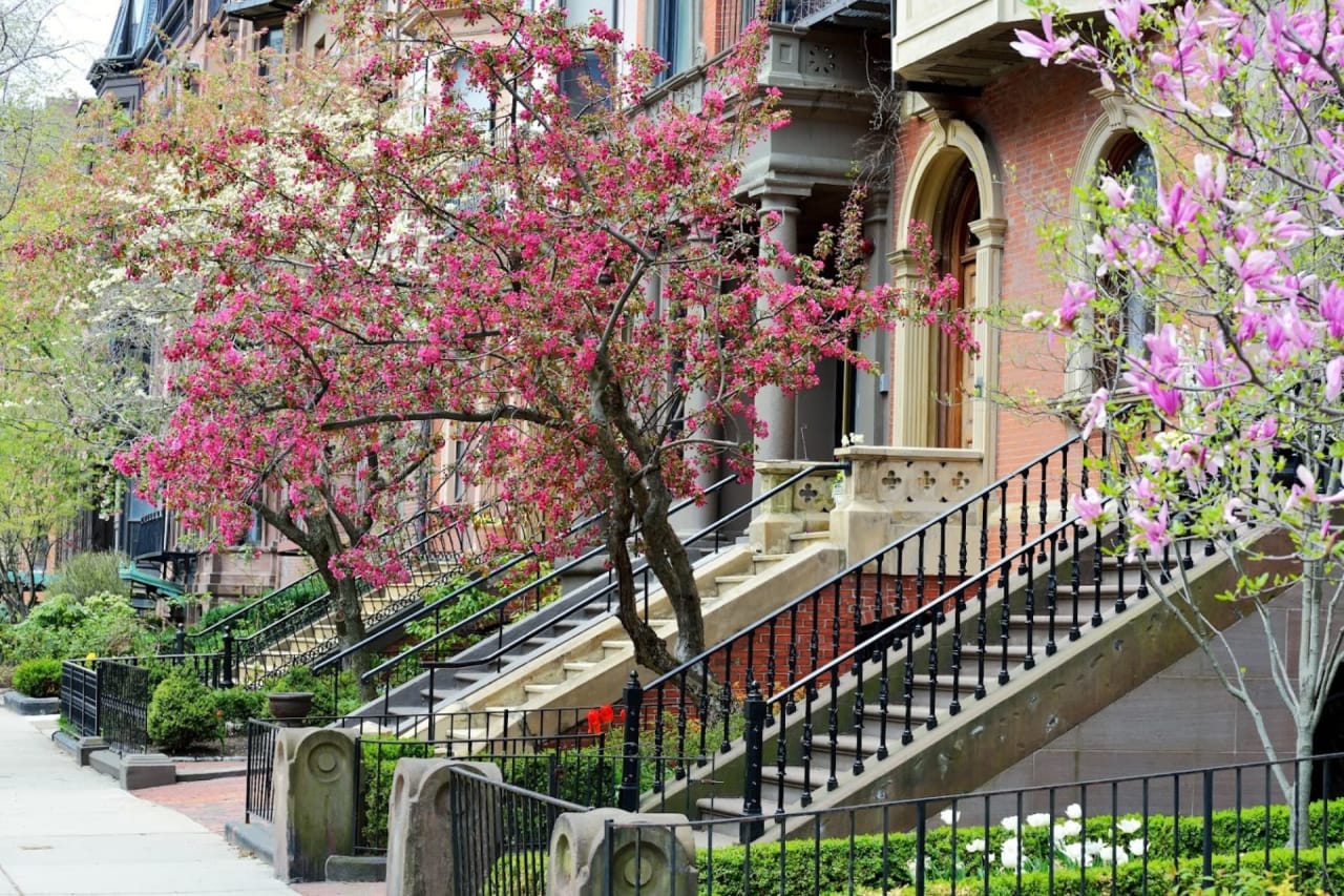 8 Tips for Boosting Your  Georgetown Home's Curb Appeal