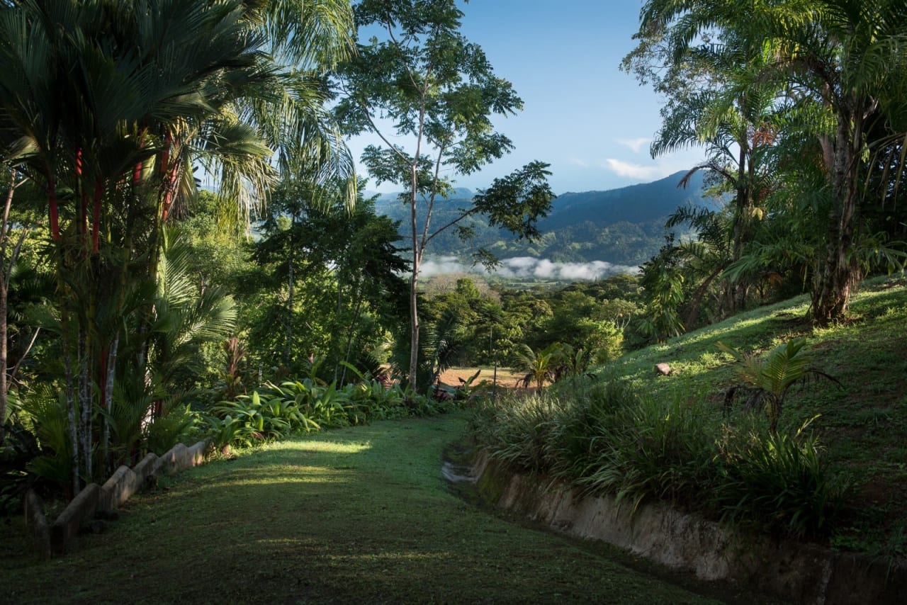 2 Acres of Paradise in Platanillo with Legal Water.